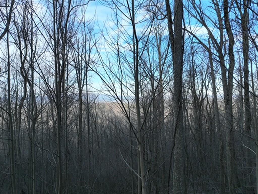 279 Andes Ridge