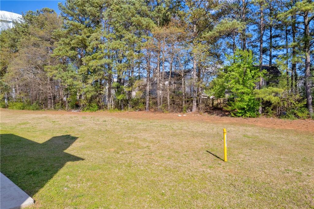 7584 Winderemere Park, Riverdale, Georgia image 39