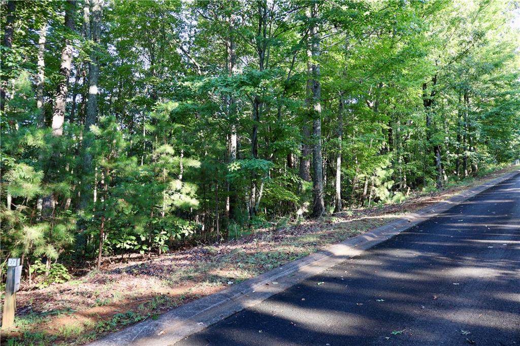 Discover the perfect blend of natural beauty and convenience with this 3.08-acre lot in the sought-after Abbott Mill community of Ellijay. This exceptional property offers stunning long-range mountain views and a peaceful setting, making it an ideal location for your dream home or mountain retreat.
The land features a gentle slope with several level building sites, providing flexible options for construction. Enjoy easy access via paved roads and available power at the property line—ready for your builder to get started.
Located just minutes from charming downtown Ellijay, you'll have quick access to shopping, dining, and local wineries while still enjoying the privacy and prestige of this upscale mountain community.