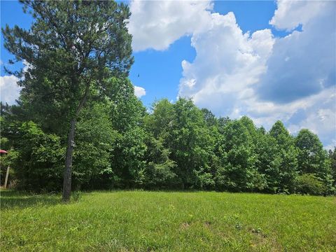 Unimproved Land in Fairmount GA 3 Young Loop.jpg