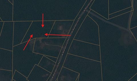 Vacant Land For Sale - West Mandeville Road<br/> Carrollton, GA 30117