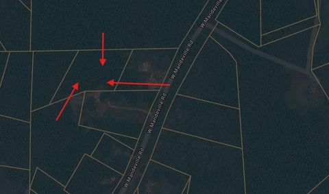 Vacant Land For Sale - West Mandeville Road<br/> Carrollton, GA 30117