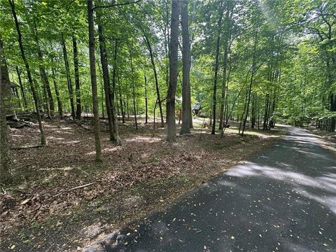Vacant Land For Sale - LT43 Rocky Stream Court<br/> Jasper, GA 30143