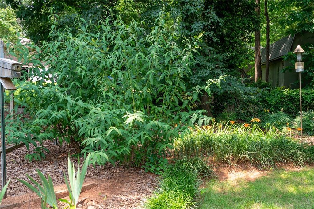 Forest Creek Trail - Residential