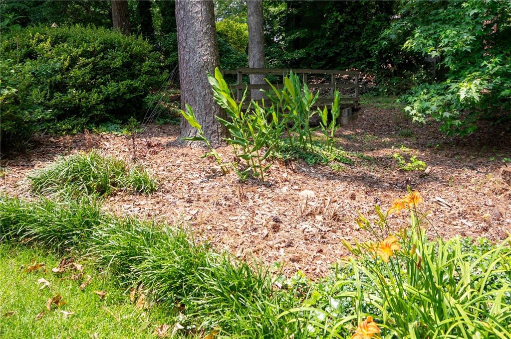 Forest Creek Trail - Residential