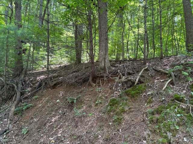 1/2 +acre LOT ON QUIET CUL-DE-SAC awaits your dream home. Nestled in the serene, gated community of Walnut Mountain in Ellijay, Georgia, this beautiful, vacant ,wooded lot offers the perfect canvas for your mountain retreat. Surrounded by lush hardwoods and gentle rolling terrain, the property provides a peaceful, private setting with the natural beauty of the North Georgia mountains all around you. The lot features a mix of mature trees, native flora, and seasonal mountain views with the potential for year round vistas with selective clearing. Ideal for a custom cabin or weekend getaway, it sits on a quiet well maintained road with access to community water, power & other utilities. Residents of Walnut Mountain enjoy a variety of amenities including private lakes, fishing spots, hiking trails, tennis courts, a community pool and a clubhouse. Its facilities include: a clubhouse, Olympic size pool, 4 lakes and a trout stream, tennis courts, nature trails, picnic areas and a staffed gated entrance. Just minutes from downtown Ellijay, you're close to charming shops, local wineries, apple orchards, and all the outdoor adventure the region has to offer. Whether you are looking to build now or invest in land for the future, this peaceful, wooded lots offers the tranquility of mountain living with the convenience of community amenities and nearby town access. Hurry to see this one!