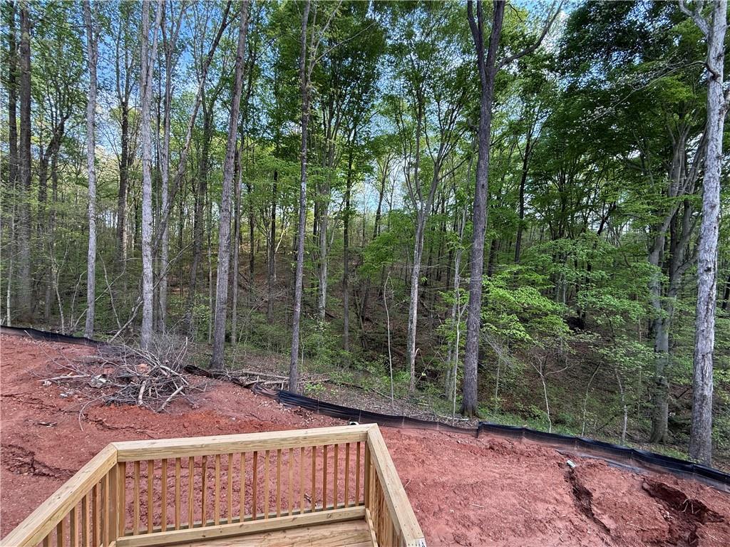 73 Hewett Road, Pendergrass, Georgia image 26