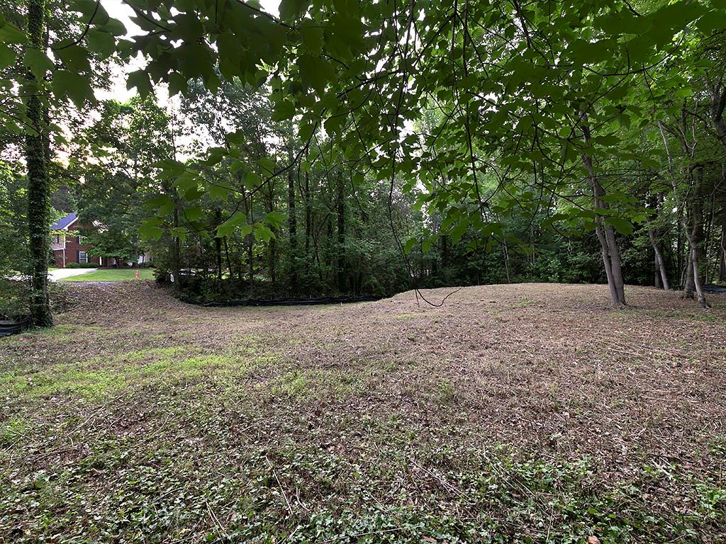 3316 Renfro Street, Marietta, Georgia image 3