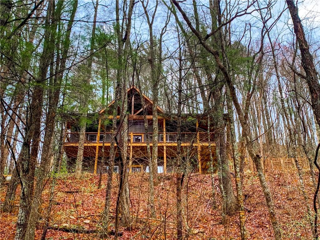 184 Rockhouse Road, Cherry Log, Georgia image 23