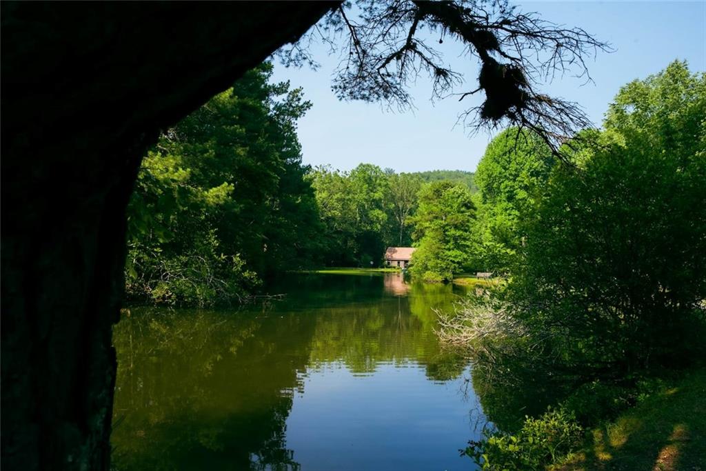 184 Rockhouse Road, Cherry Log, Georgia image 25