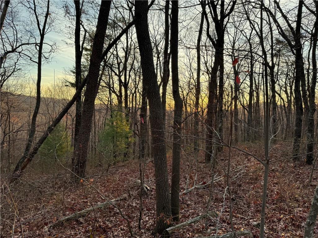 Highpointe Trail, Ellijay, Georgia image 3