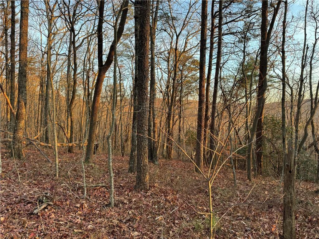 Highpointe Trail, Ellijay, Georgia image 2