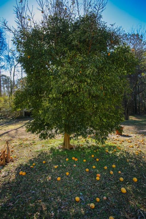 272 Old Sudie Road, Hiram, Georgia image 43