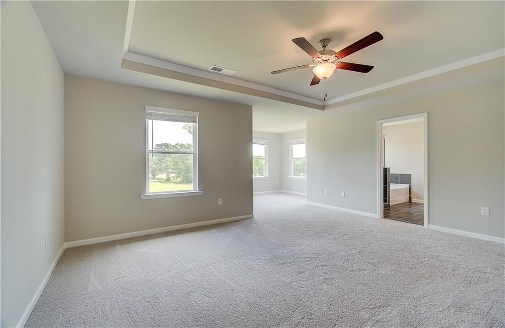 255 Arnewood Circle, Mcdonough, Georgia image 24