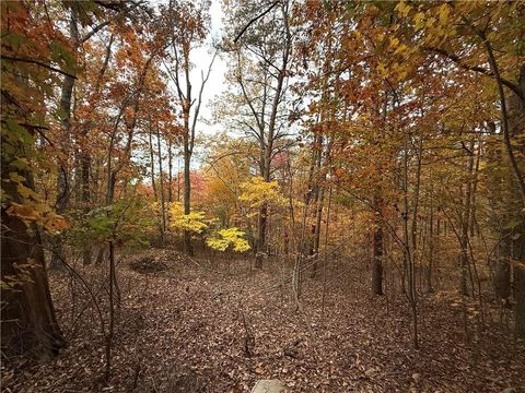 Vacant Land For Sale - 1344 Hunter Drive<br/> Ranger, GA 30734
