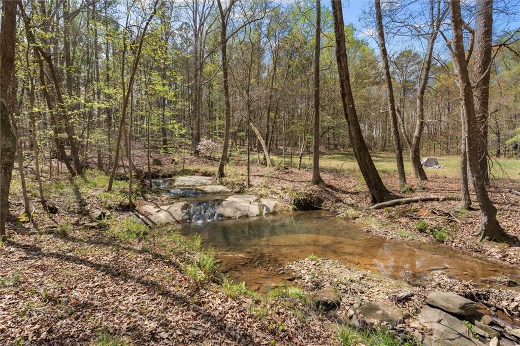 3880 Fern Springs Lane