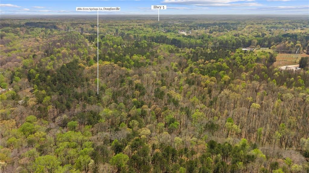 3880 Fern Springs Lane