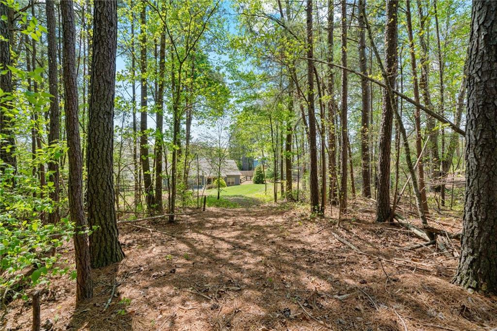 328 Spence Circle, Ball Ground, Georgia image 33