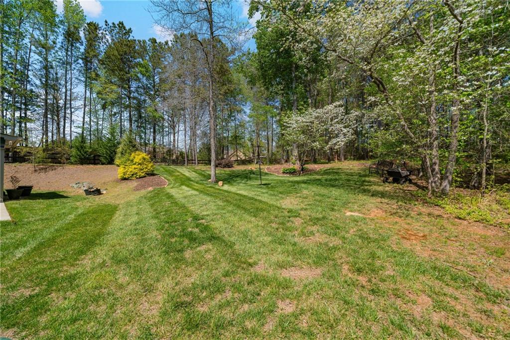 328 Spence Circle, Ball Ground, Georgia image 35