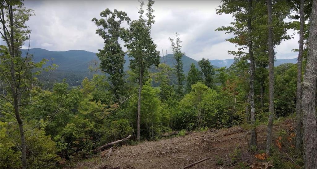 4.48 Acres Tom Wheeler Road, Hiawassee, Georgia image 3