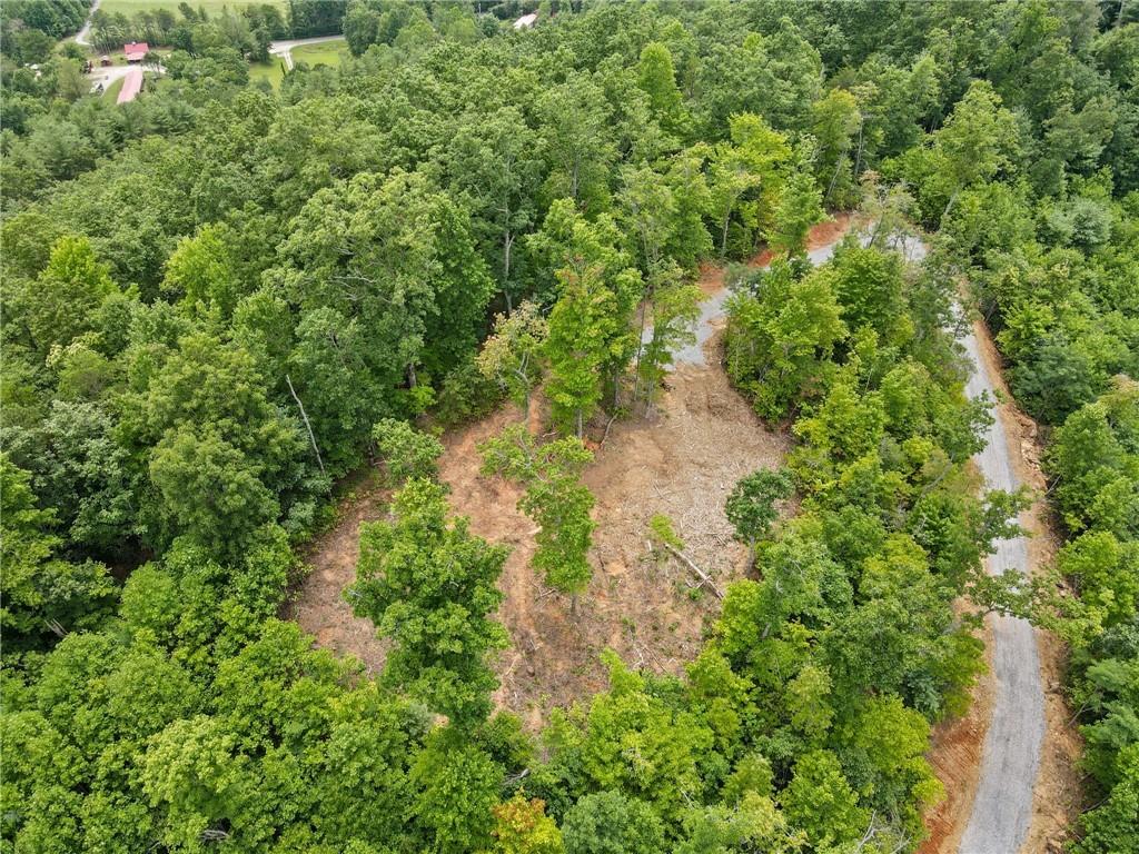 4.48 Acres Tom Wheeler Road, Hiawassee, Georgia image 13