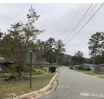 101 Dogwood Court, Eufaula, Alabama image 14