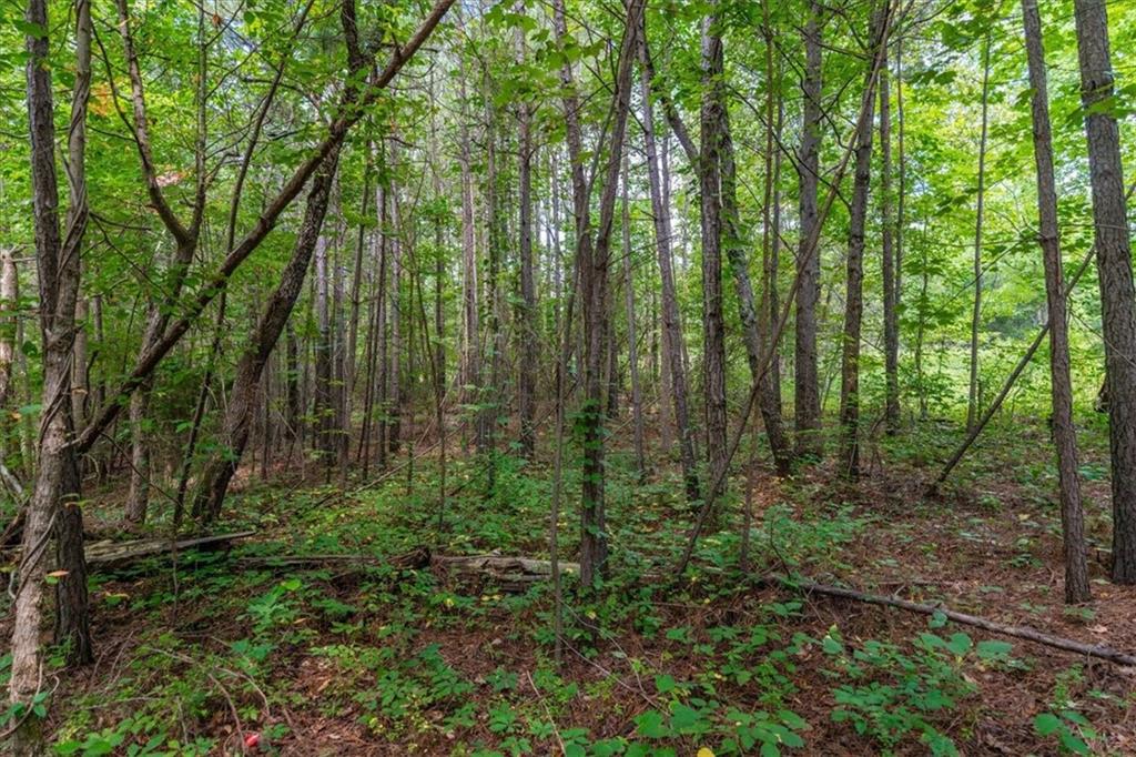 015003 Treat Mountain Road, Cedartown, Georgia image 13