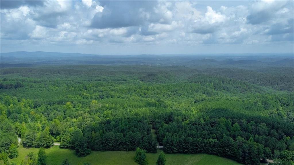 015003 Treat Mountain Road, Cedartown, Georgia image 5