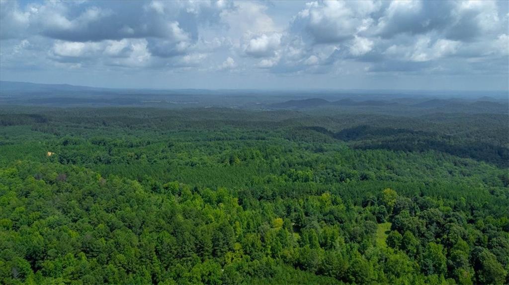 015003 Treat Mountain Road, Cedartown, Georgia image 3