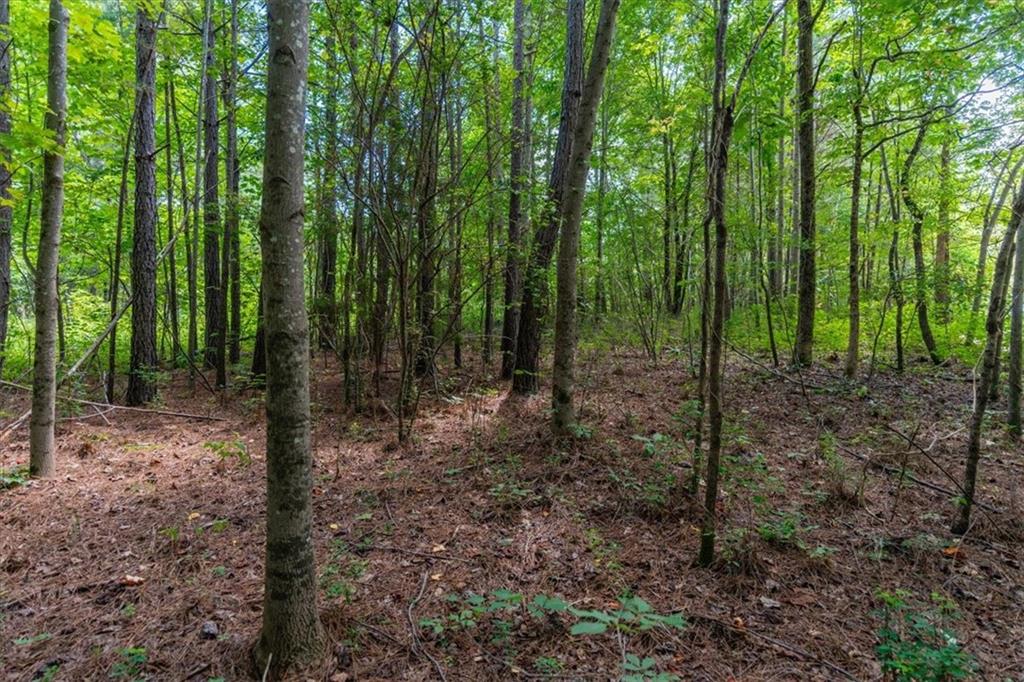 015003 Treat Mountain Road, Cedartown, Georgia image 12