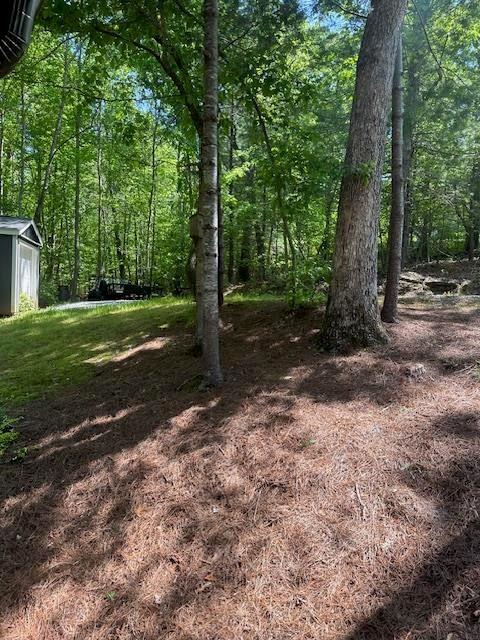 192 Wild Deer Trace, Dawsonville, Georgia image 44