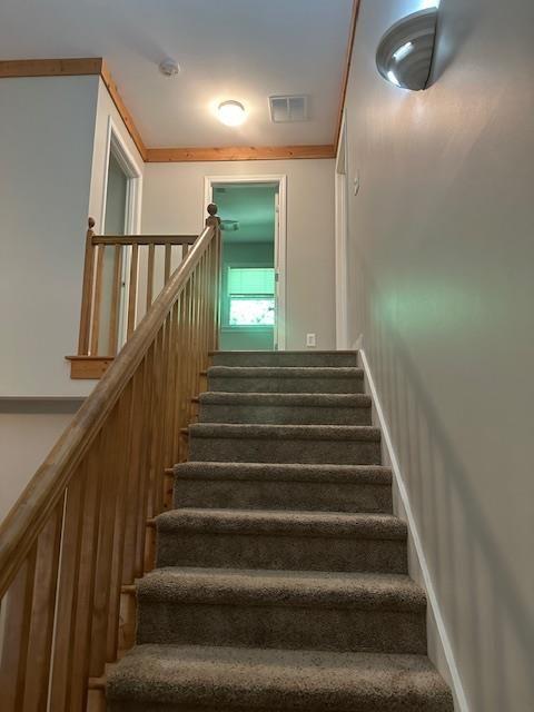 192 Wild Deer Trace, Dawsonville, Georgia image 43