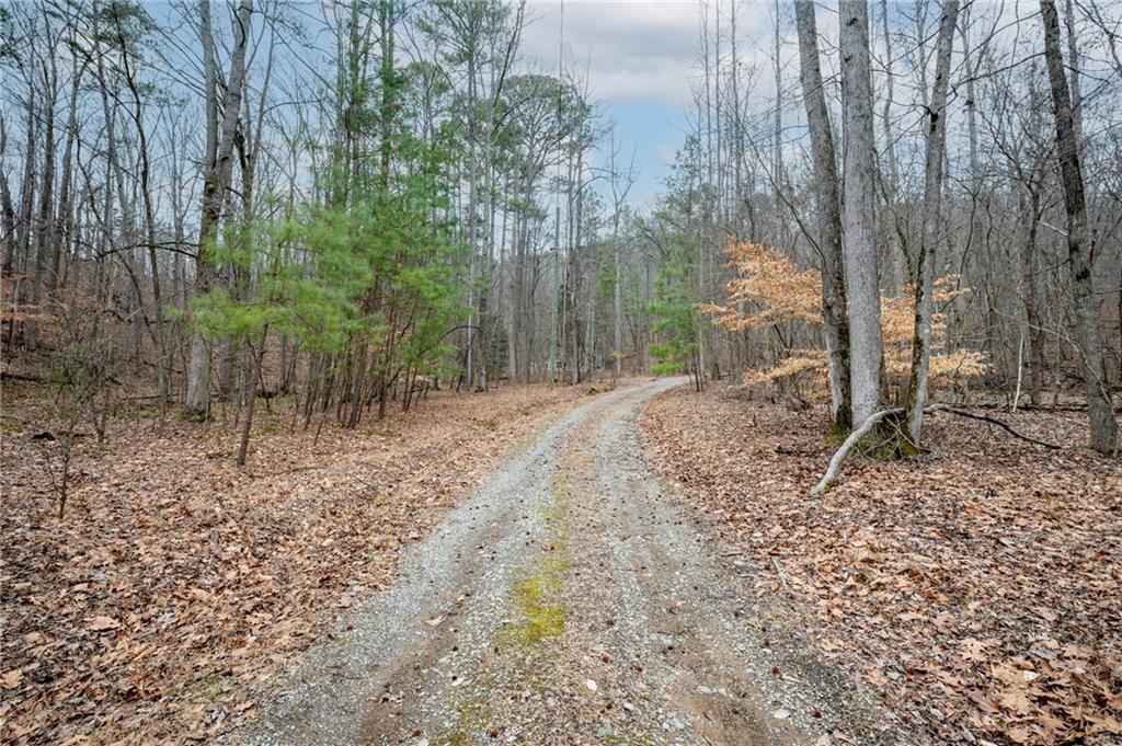 161 Jasmine Drive, Ranger, Georgia image 12