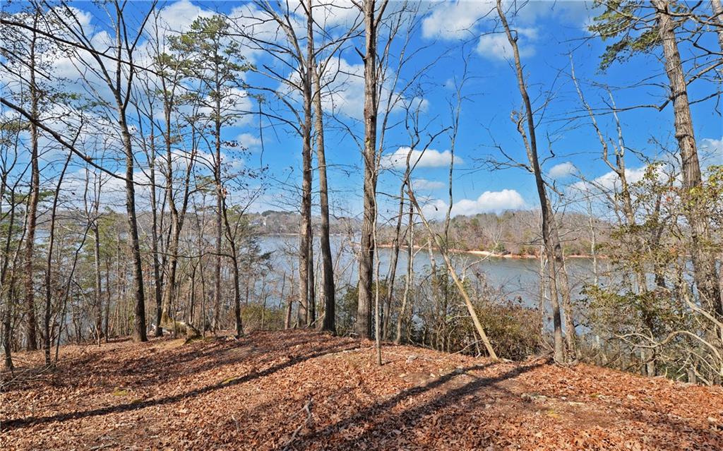 2290 Boy Scout Camp Road