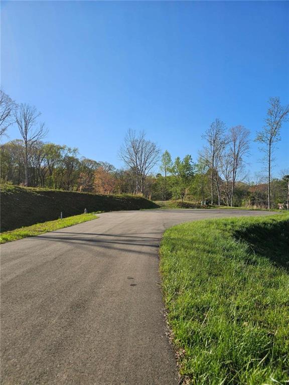 Cascade Lane, Ellijay, Georgia image 4