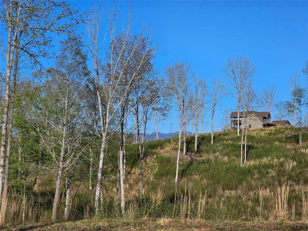 Cascade Lane, Ellijay, Georgia image 17