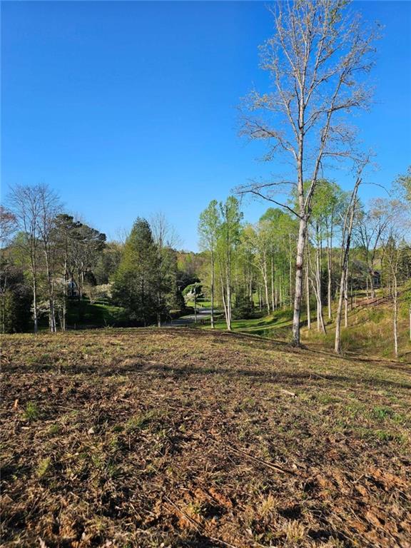 Cascade Lane, Ellijay, Georgia image 1