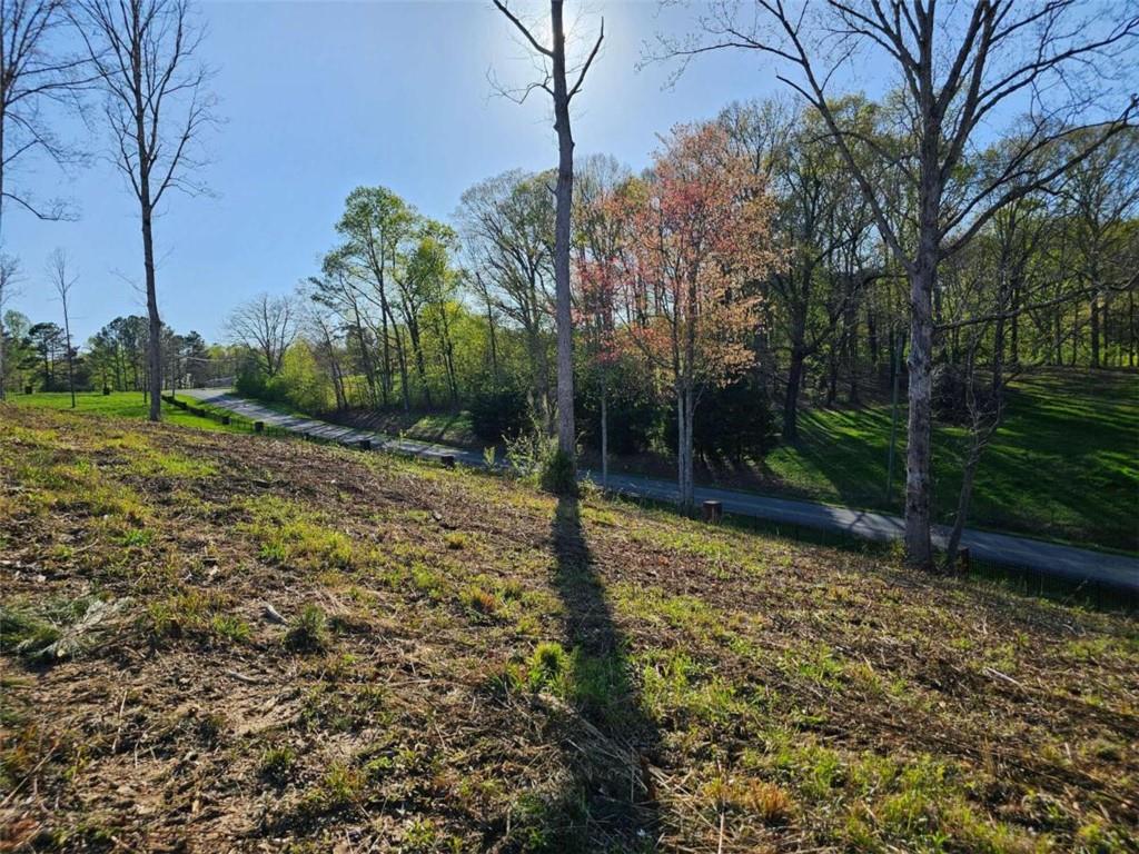 Cascade Lane, Ellijay, Georgia image 9