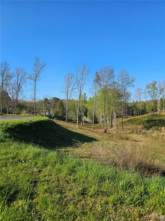 Cascade Lane, Ellijay, Georgia image 3