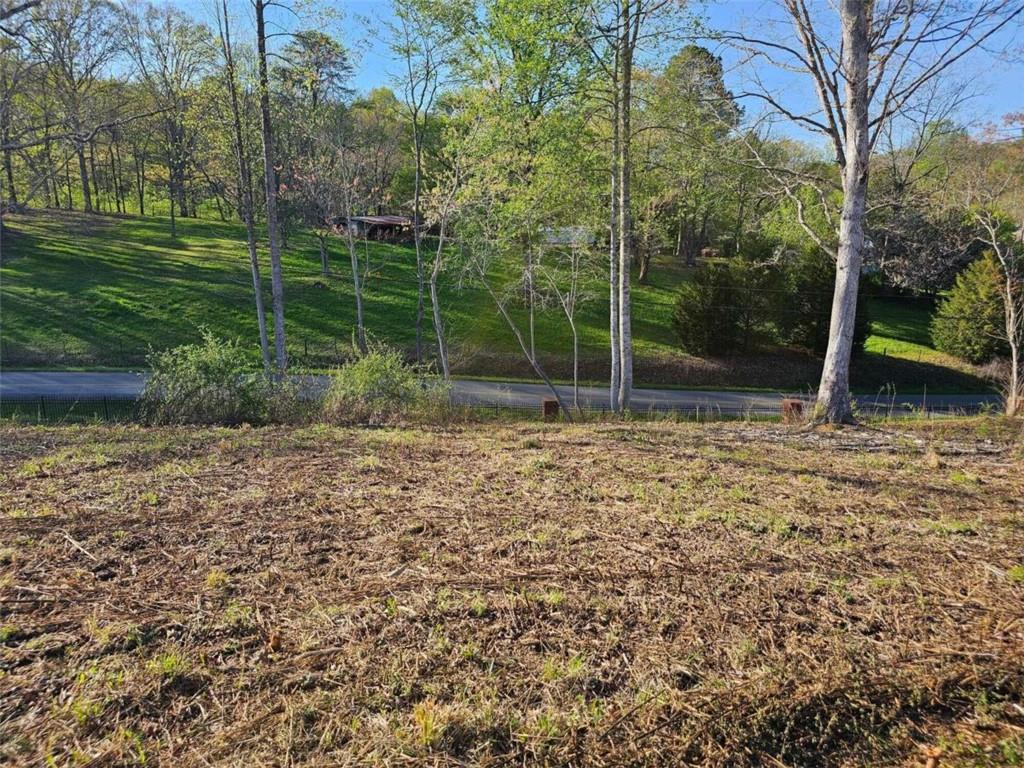 Cascade Lane, Ellijay, Georgia image 7