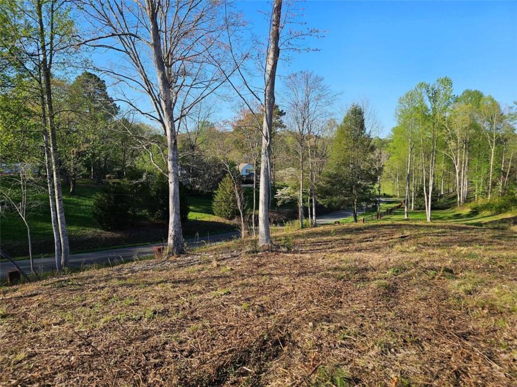 Cascade Lane, Ellijay, Georgia image 6