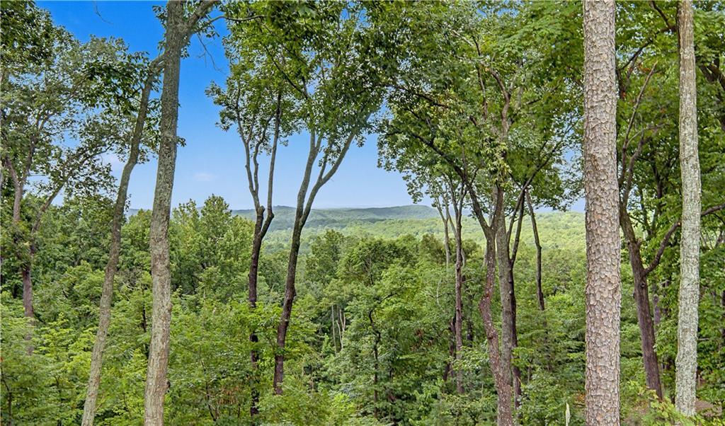 851 Skyline Drive