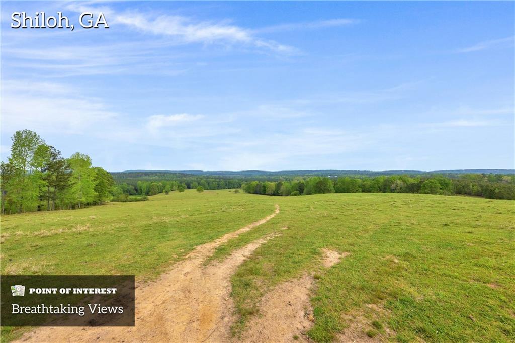 2450 Chestnut Grove Road