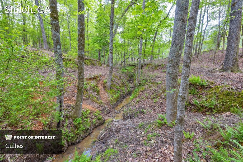 2450 Chestnut Grove Road