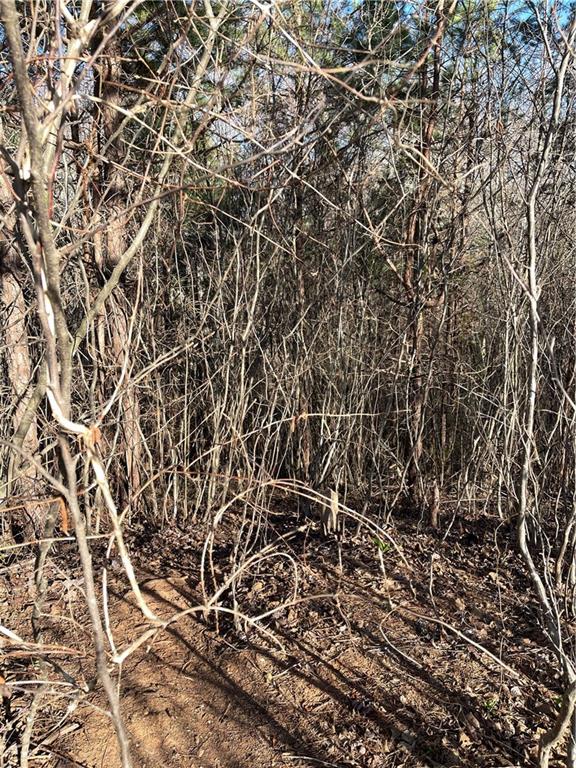 Mill Lake Road, Douglasville, Georgia image 5
