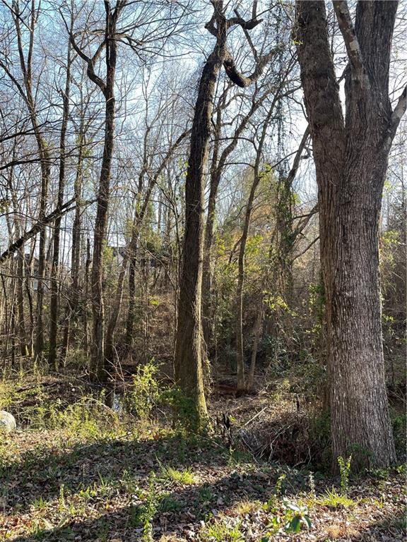 Mill Lake Road, Douglasville, Georgia image 3