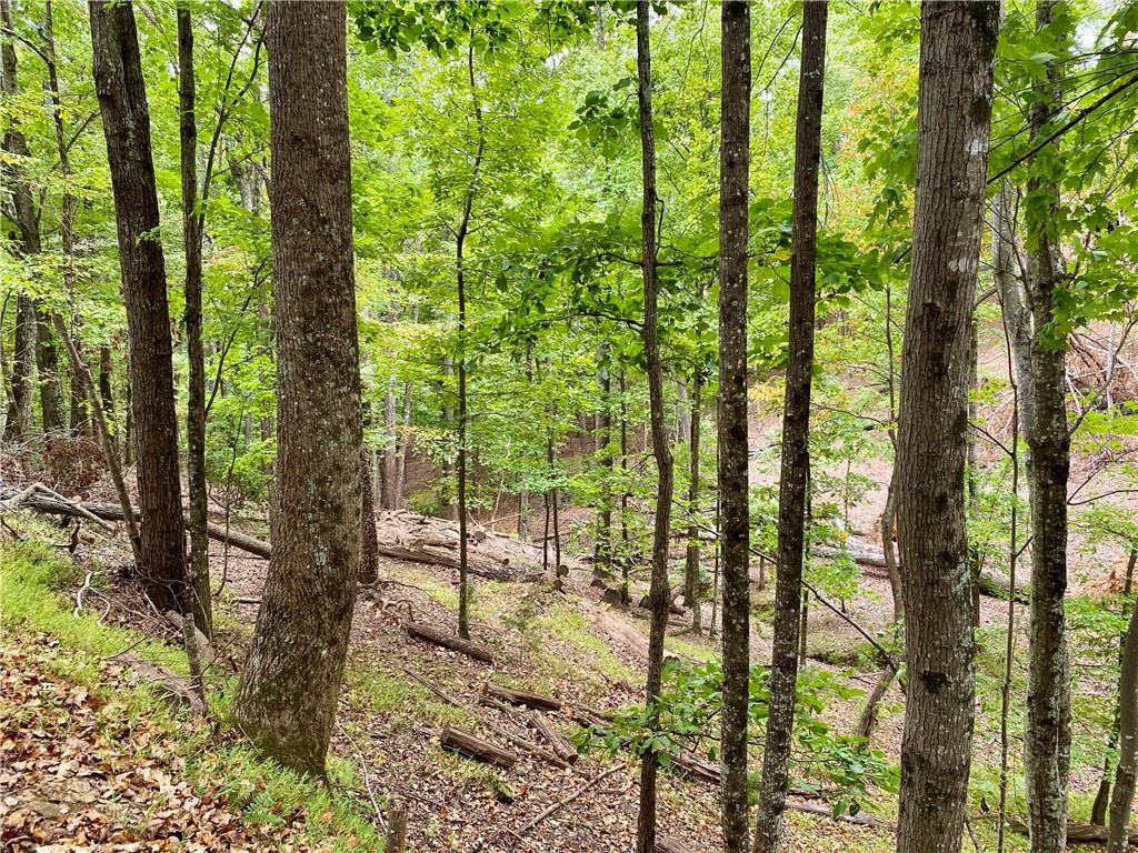 327 Grouse Gap Drive, Jasper, Georgia image 2