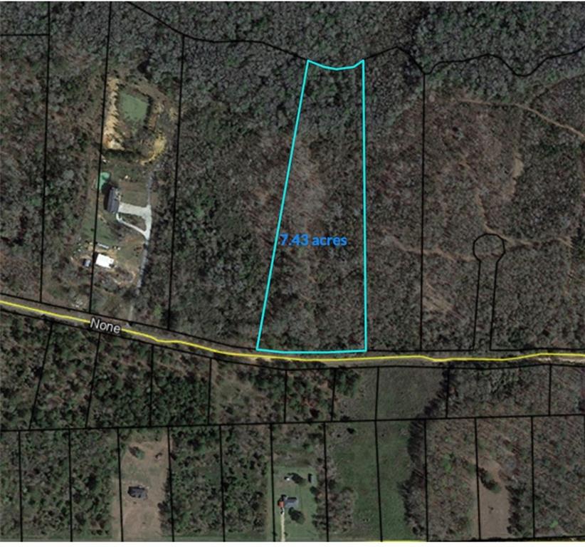 Willow Creek Drive, Oglethorpe, Georgia image 1