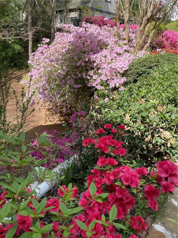 37 Plantation Drive NE