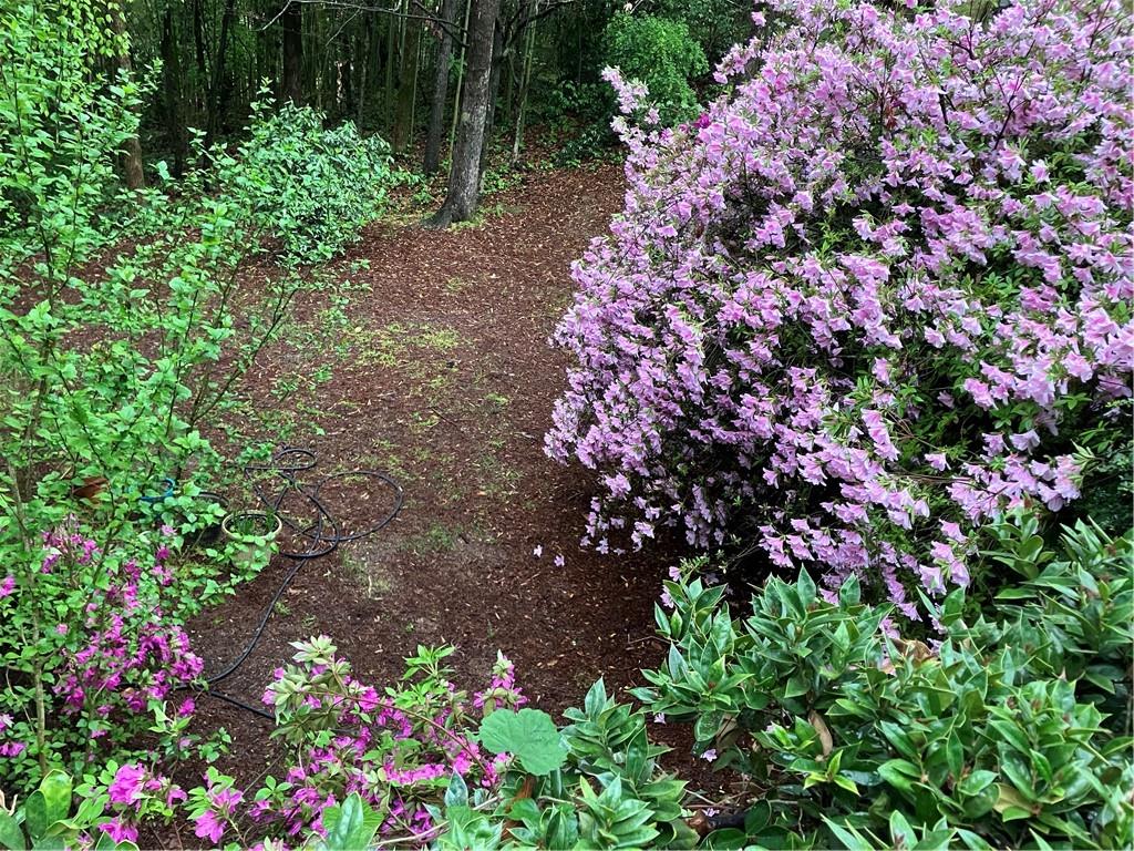 37 Plantation Drive NE